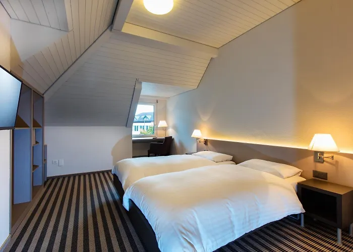 Flexymotel 3* Wil (St. Gallen)